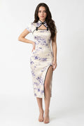 Chinese Qipao Sexy